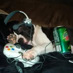 Jesse Fell - Facebook