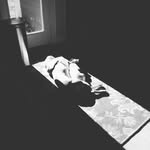 Jesse Fellows - @jessefellows - Instagram