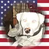 Jesse Ferrell - @jesse.ferrell3 - TikTok
