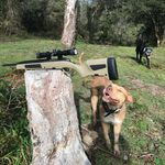 JESSE FIELD - @jesse_field7 - Instagram