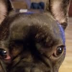 Jesse Fields - @jesse.fields77 - Instagram