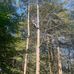 Jesse Flaherty - Facebook