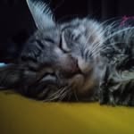 Jesse Fleming - @jessefleming2 - Instagram