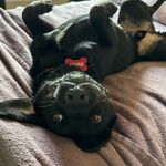 JesseFraley - @jesse_664209 - Instagram