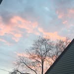 @jesse.friendsacc - Instagram