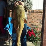 Jesse Friend - Facebook