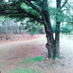 jesse allen fulmer - @jesseallenf - Instagram