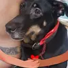 Jesse Galan - @jesse.galan5 - TikTok