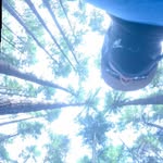 Jesse Gemmell - @jessegemmell - Instagram