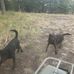 Jesse Gentry - Facebook
