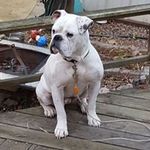 Jesse Gentry - @jesse.gentry.75 - Instagram