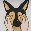 •ПУШИСТА ДЖЕСІ• - @jesse.german - TikTok