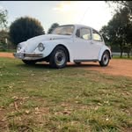 German Roller - @jesse_the_german_roller - Instagram