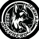 Jesse German Shepherds - @jessegermanshepherds - Instagram
