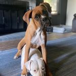 Jesse Goforth - @jessego - Instagram