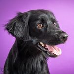 Jesse good boy - @jesse.good_boy - Instagram