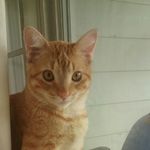 Jesse Goodrich - @garfeild1234567809 - Instagram