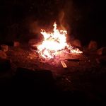 Jesse Grantham - @grantham.jesse - Instagram