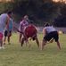 Jesse Grayson - Facebook