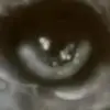 Jesse Grayson - @jesse.grayson7 - TikTok