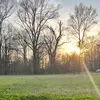 Jesse G - @jesse.griggs16 - TikTok