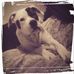 Jessie Griggs - Facebook