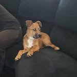 Jessie Griggs - @griggsjessie - Instagram
