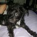 Jessie Guardiola - Facebook