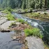Jesse Guy - @jesse.guy3 - TikTok