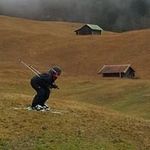 Jesse Guy - @guy.jesse - Instagram