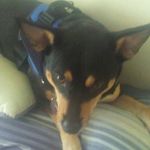 Jesse - @_jesse_harrington_ - Instagram