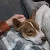 Jesse Harrington - @jesse.harrington78 - TikTok