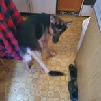 Jesse Heiser - Facebook