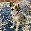 jessehelm353 - @jessehelm353 - TikTok