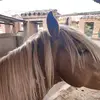 jesse - @jesseherrer - TikTok
