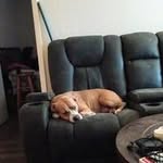 Jesse Hixson - @hixson1258 - Instagram