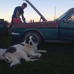 Jesse Hobson - @_notmyshadow_ - Instagram