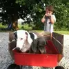 jesse_holden33 - @jesse_holden33 - TikTok