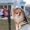 Jesse Horstman - @jessehorstman - TikTok