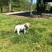 Jesse Huntley - Facebook