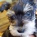 Jesse B Hutton - Facebook
