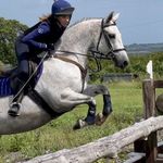 ✰𝐉𝐞𝐬𝐬 𝐈𝐬𝐚𝐚𝐜𝐬𝐨𝐧✰ - @jess_equine_ox - Instagram