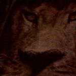 jessenia ison - @jessenia.ison - Instagram