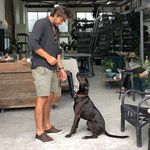 Jesse-Jack De Deyne - @jessejack - Instagram