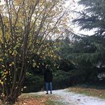Jesse Jackson - @jesse.jackstarz - Instagram