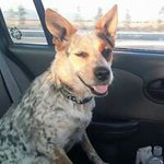 @jarman_jesse - Instagram
