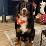 Jesse Jeffers - @jesse.bmd - Instagram