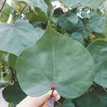 Jesse Jerome - @jessejerome7650 - Instagram