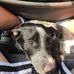 Jesse Joiner - Facebook