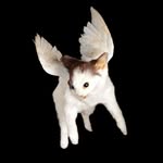 JesseJune - @jessejuneprime - Instagram